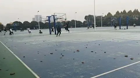 有哪些篮球战术训练的应用程序可以帮助我进步?_1